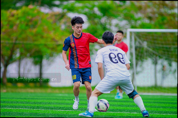 乐鱼V4界面重排前后对比示意，新版界面卡片更明亮、信息层级更清晰